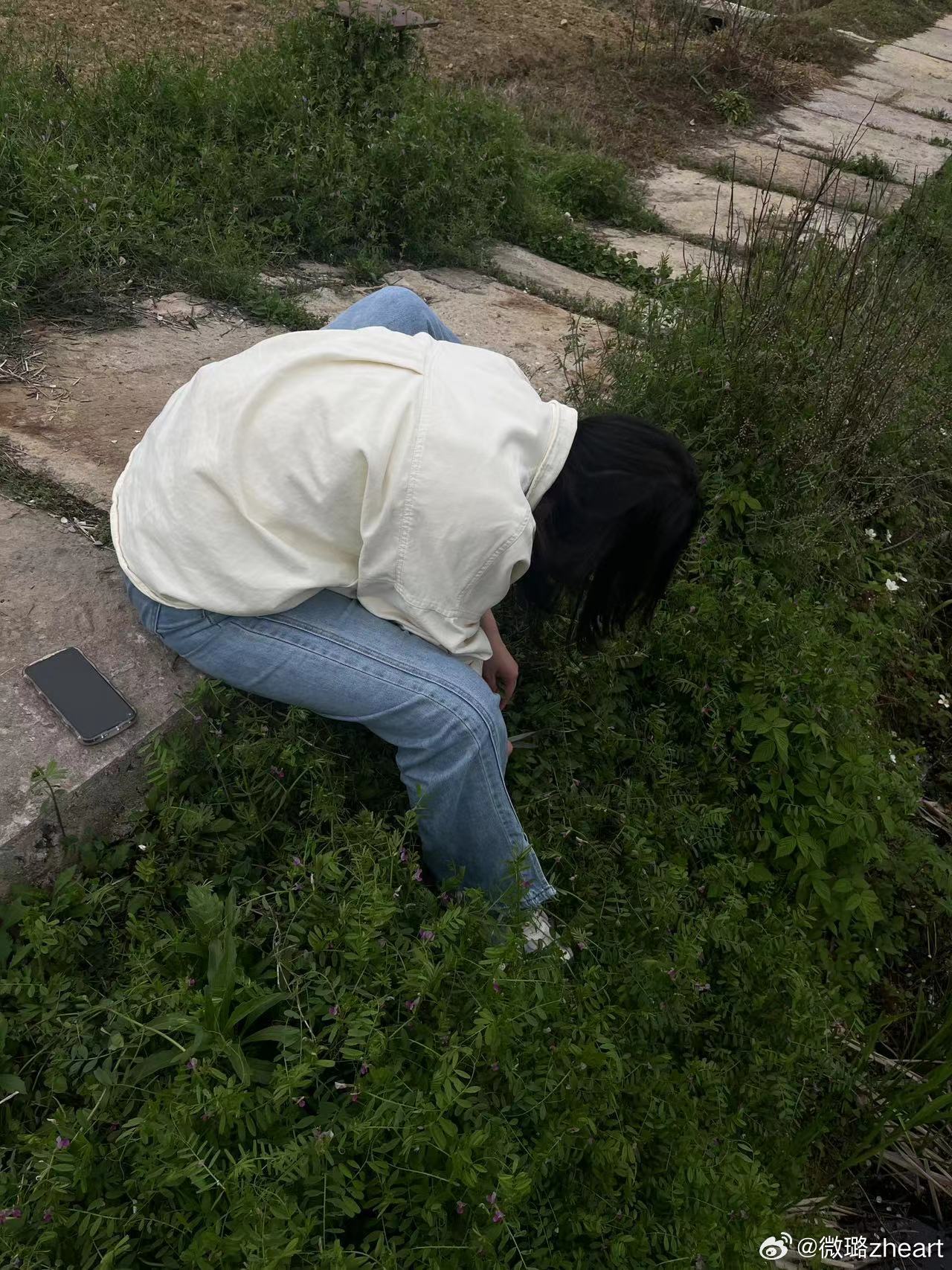 上海年轻人流行挖野菜