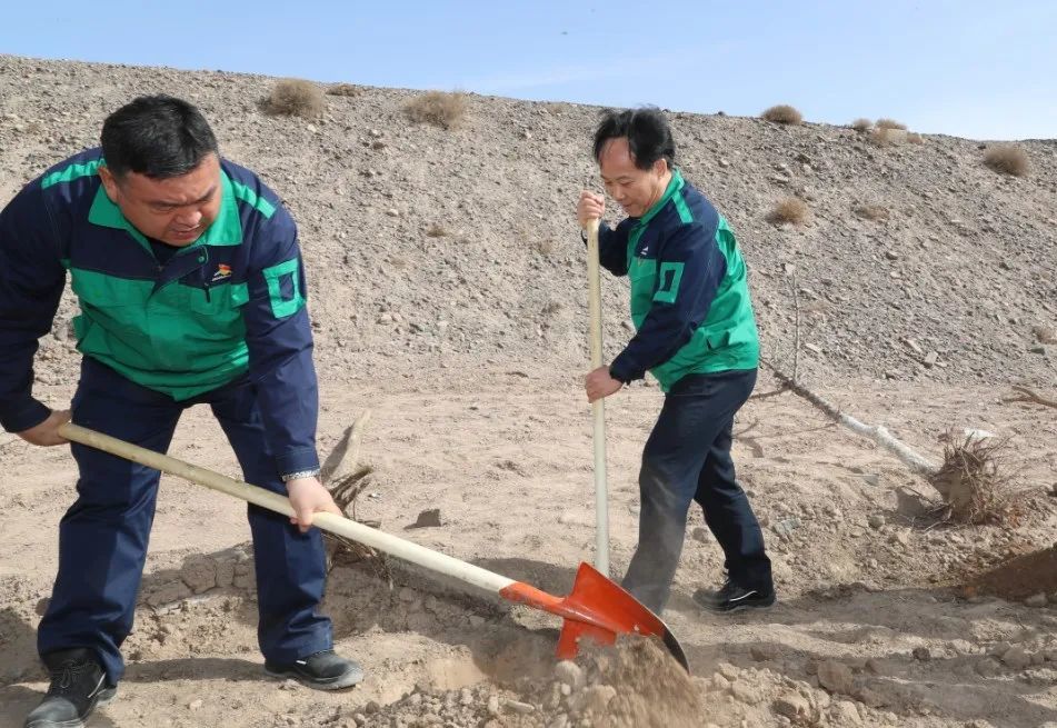 震惊！中国绿色家底竟悄悄增厚，背后藏着什么惊人秘密？